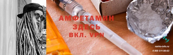дживик Семилуки