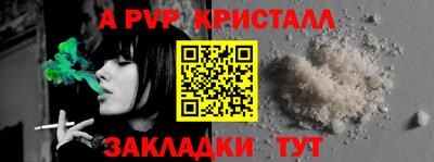 шишки Балашиха