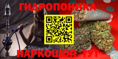шишки Балашиха
