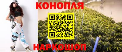 крисы Балаково