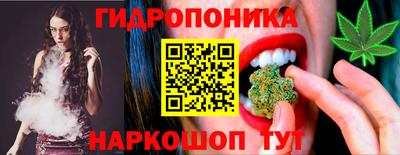шишки Балашиха