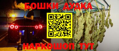 шишки Балашиха