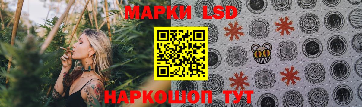 LSD-25 экстази кислота  Волгоград  LSD-25 экстази кислота 