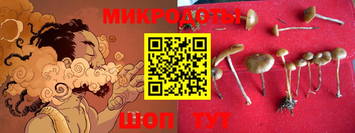 Галлюциногенные грибы Волгоград