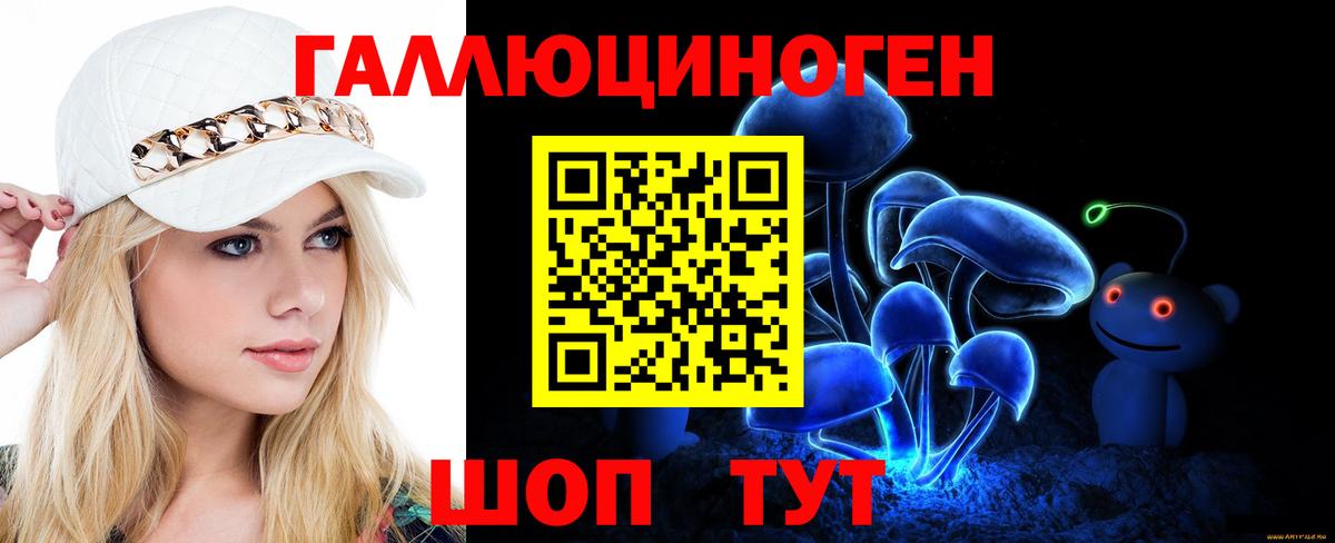 Псилоцибиновые грибы GOLDEN TEACHER  Вход с VPN  Волгоград 